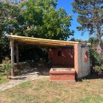 Terras voorkant tuin